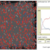 Information diffusion process model preview image