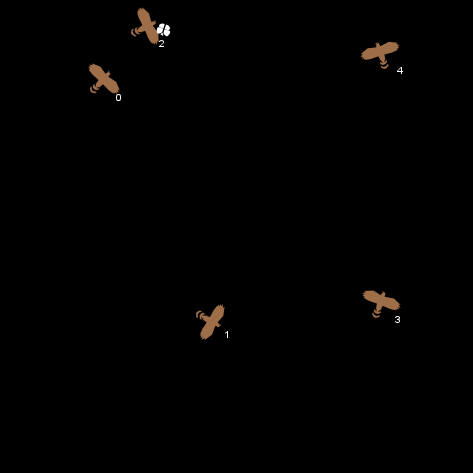 Bat Echolocation Model preview image