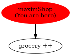 Graph of models related to 'maximShop' 